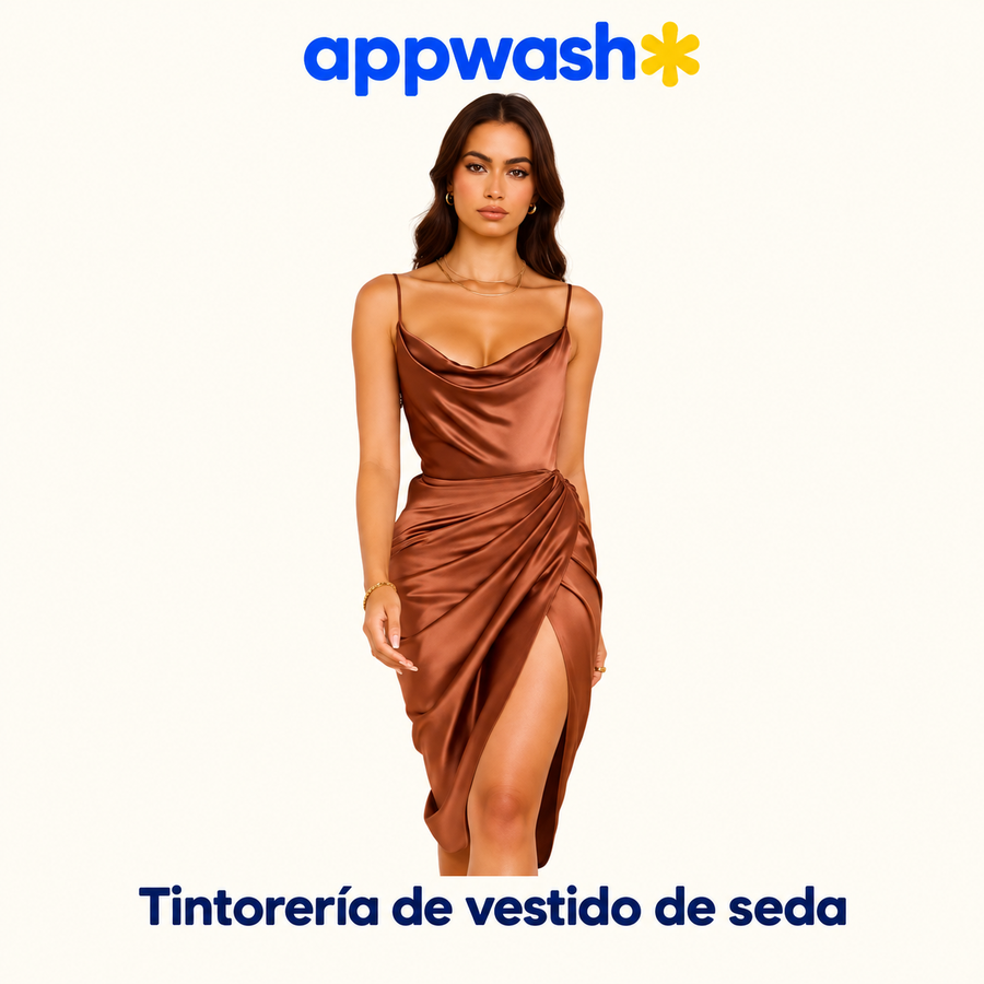 Appwash — Tintorería de vestido de seda