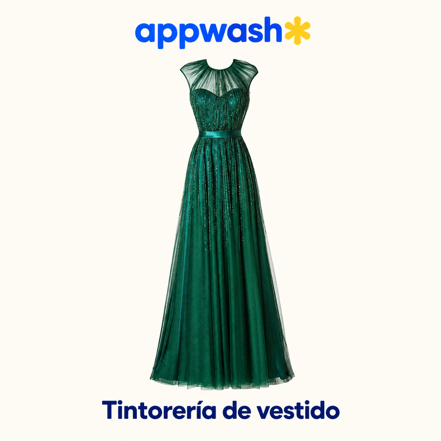 Appwash — Tintorería de vestido