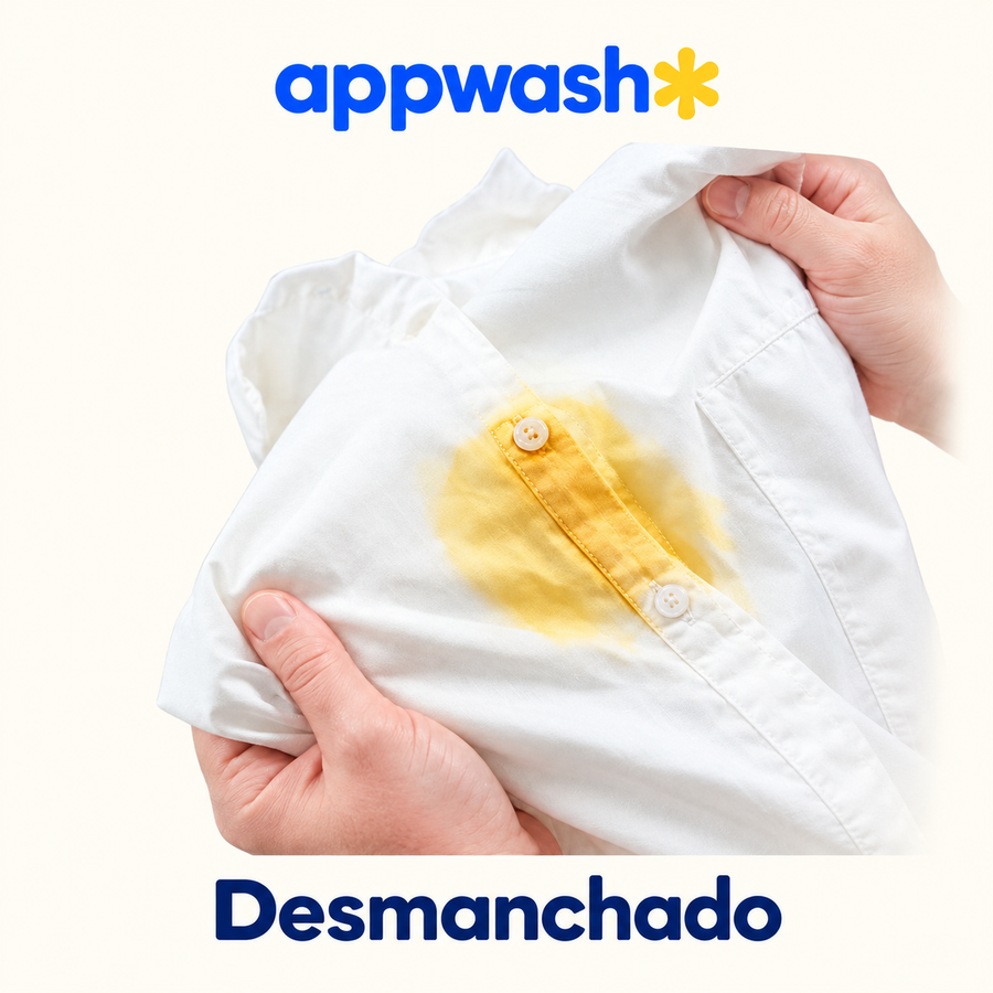 Appwash — Desmanchado